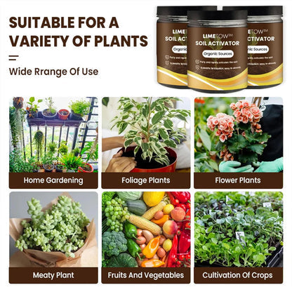 🔥Last Day OF 49% oOFF -Soil Activated Treasure Premium Soil Activator- BUY 1 GET 1 FREE🔥