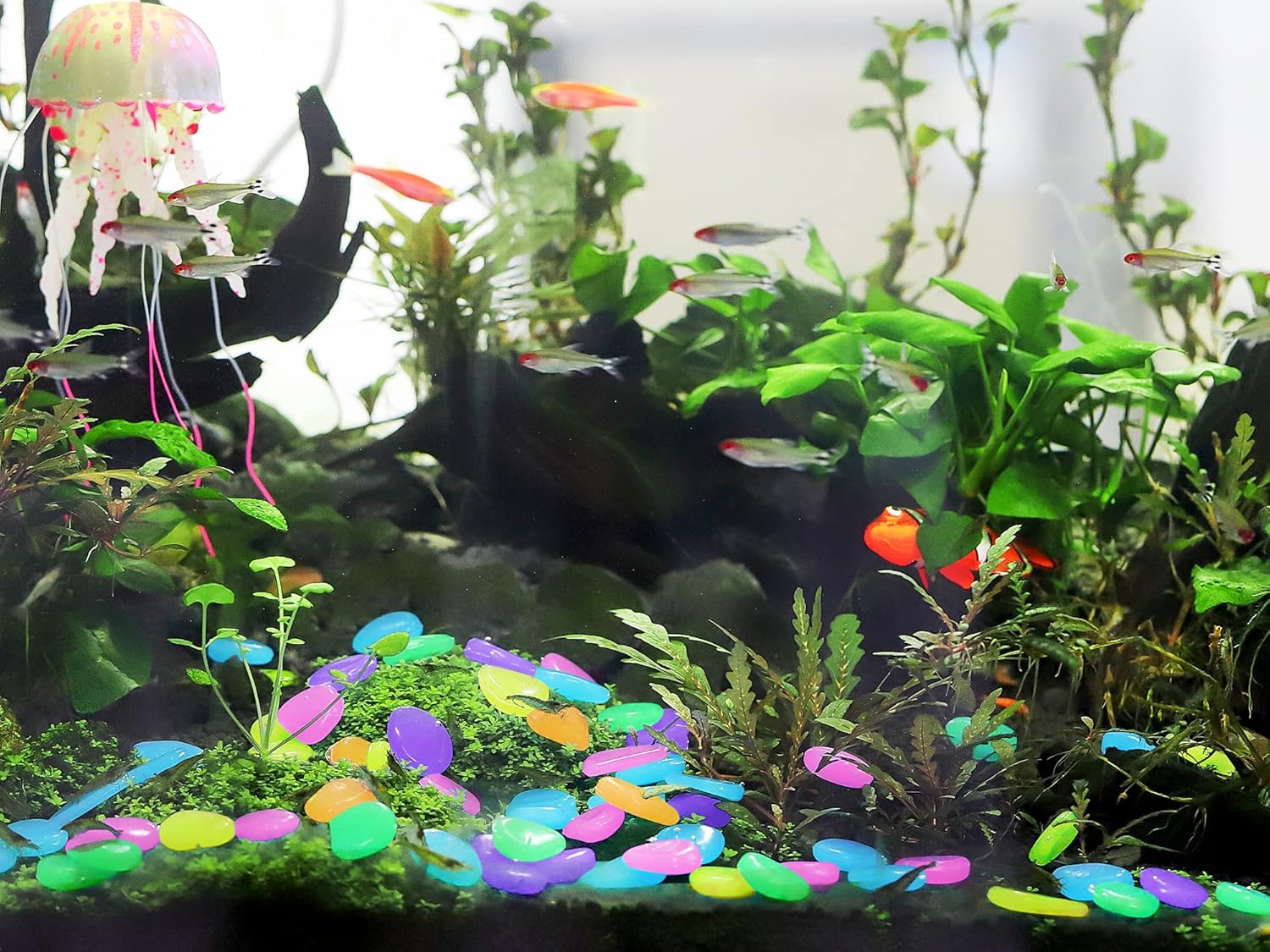 Luminous Stones – Mixed Color Glow Stones ( 150 PCS)